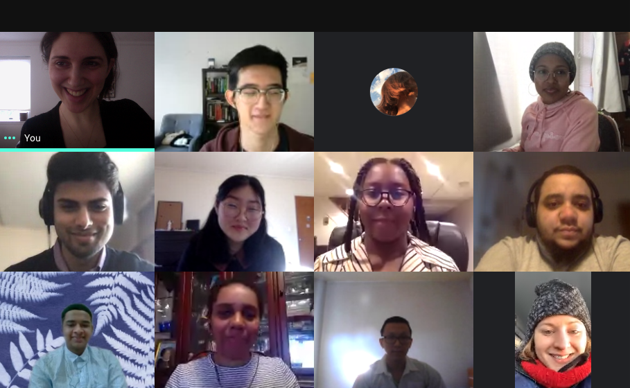 Fellows and staff during our first virtual meeting