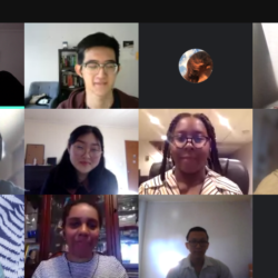 Fellows and staff during our first virtual meeting